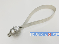 Fixed length metal strap seal 