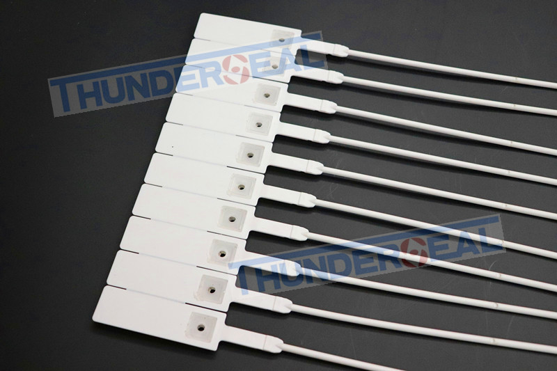 PULL-UP PLASTIC SECURITY SEAL